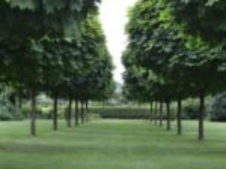 Hatzic Meadows - Fraser Valley Wedding Venue